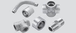Hastelloy C22 / C276 / B2 / B3  Forged Pipe Fittings Manufacturer & Supplier